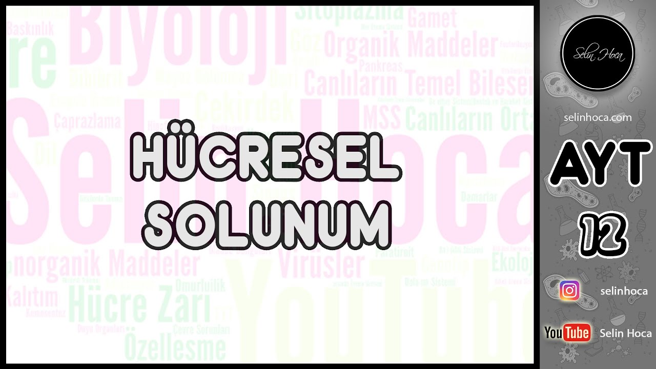11) Hücresel Solunum (Glikoliz - Oksijensiz Solunum)
